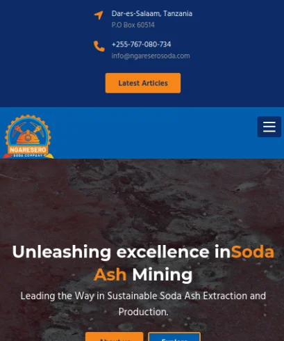 Natron Soda Company - African Script client project